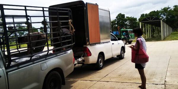 พรรุ่งเรืองขนส่ง14 รับจ้างขนของ